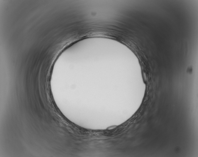 X0000115660289200912031339