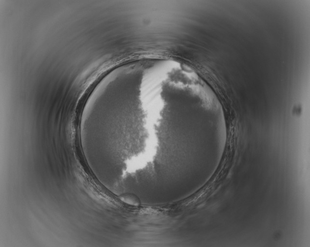 X0000115660290200912031339