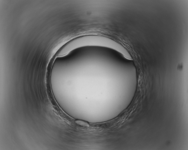 X0000115660292200912031339