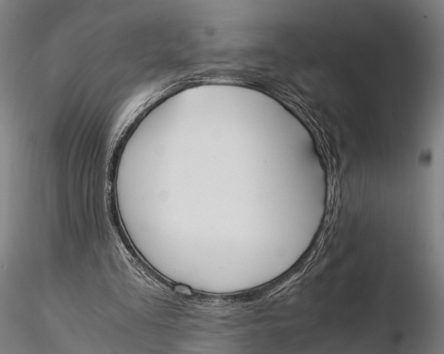 X0000115660293200912031339