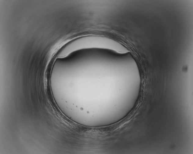 X0000115660294200912031339