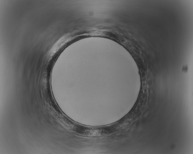 X0000115660295200912031339