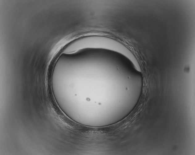 X0000115660296200912031339