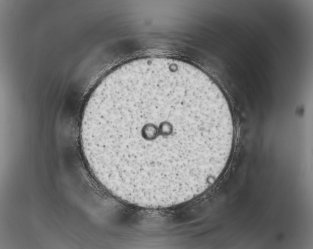 X0000115660297200912031339