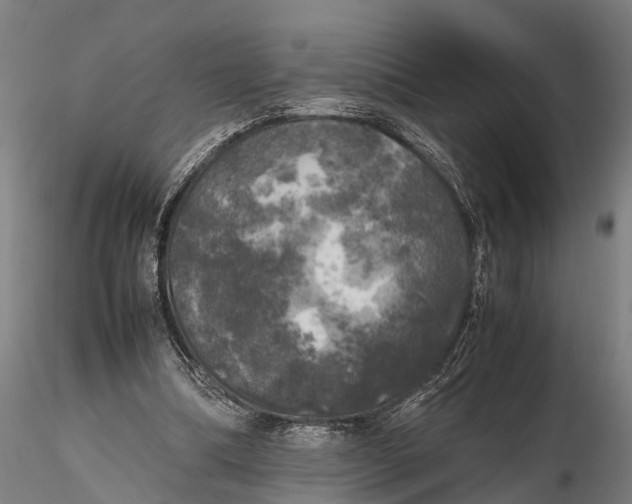 X0000115660298200912031339