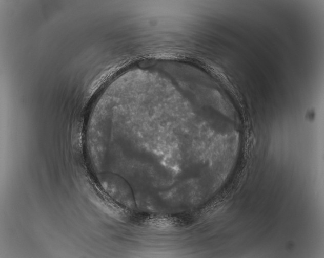 X0000115660299200912031339