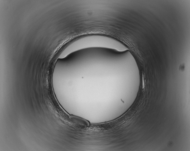 X0000115660300200912031338