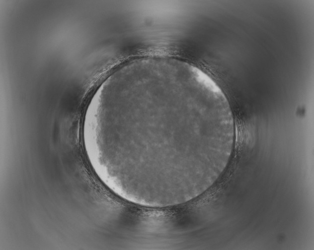 X0000115660301200912031338