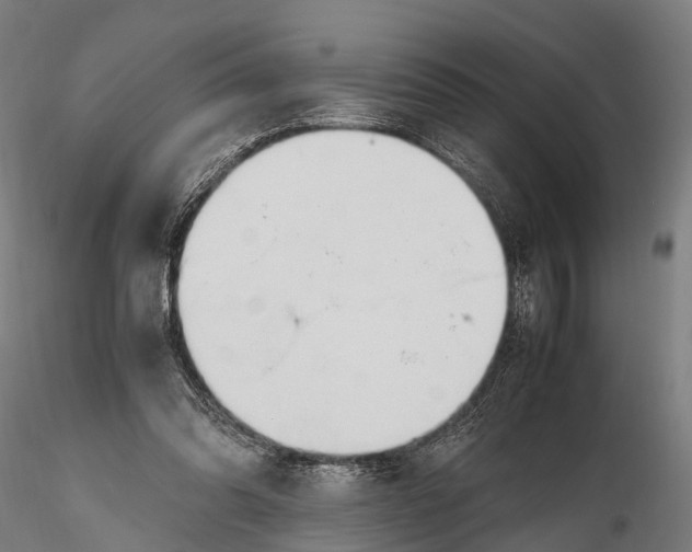 X0000115660302200912031338