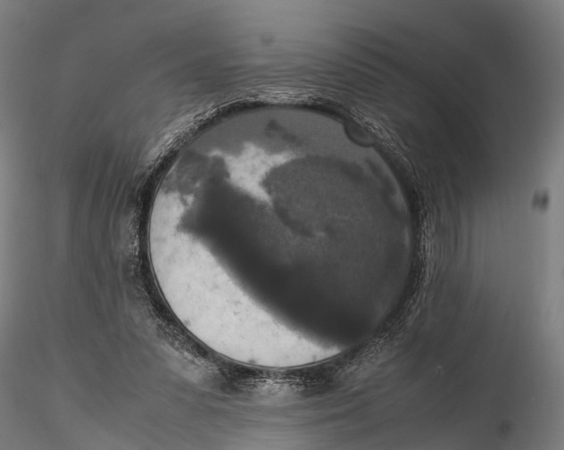 X0000115660303200912031338