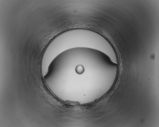 X0000115660305200912031338