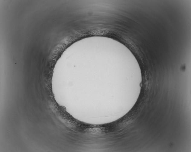 X0000115660307200912031338