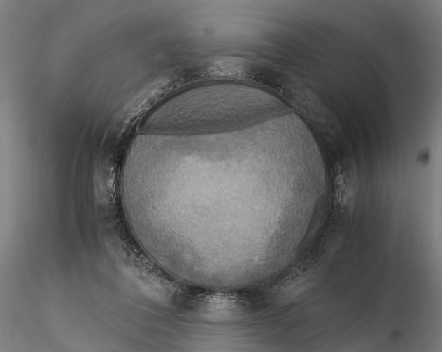 X0000115660308200912031338