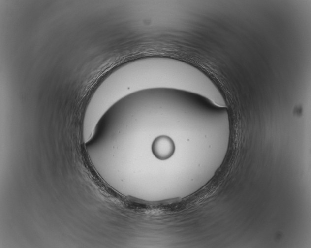 X0000115660309200912031338