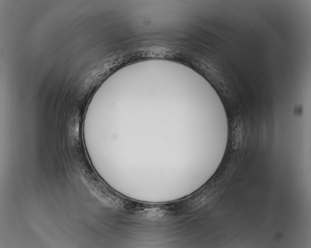 X0000115660310200912031338