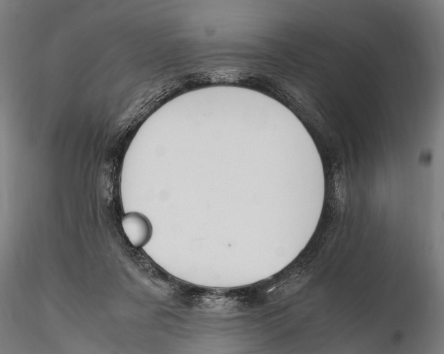 X0000115660311200912031338