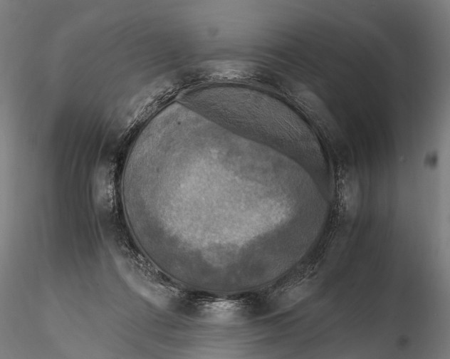 X0000115660312200912031338