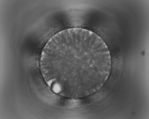 X0000115660313200912031338