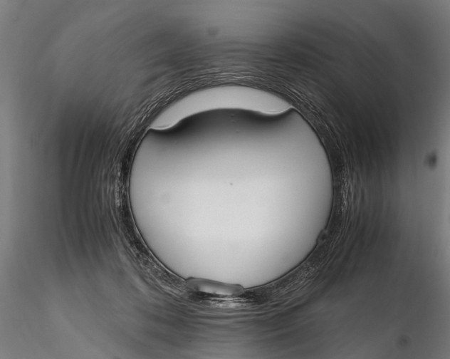 X0000115660316200912031338