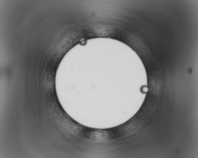 X0000115660317200912031338