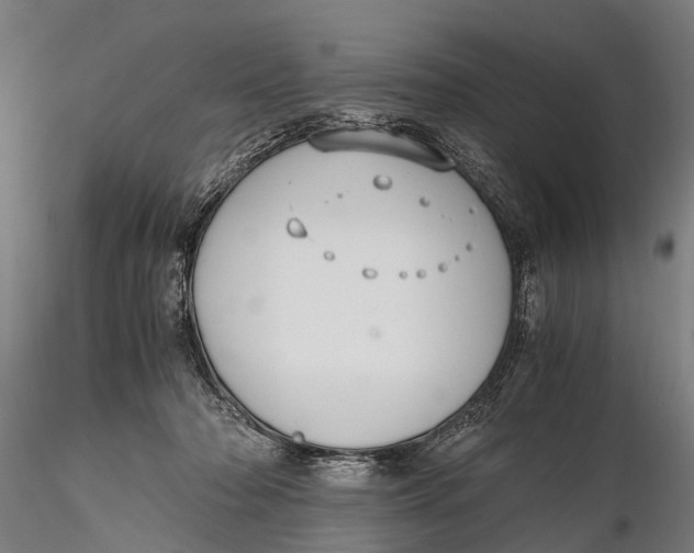 X0000115660318200912031338