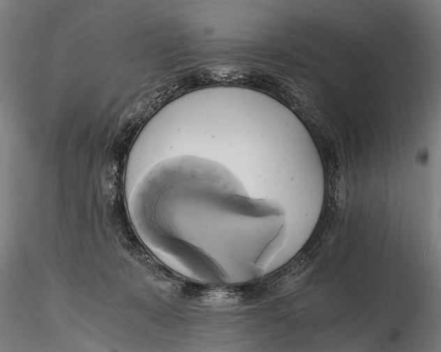 X0000115660319200912031338