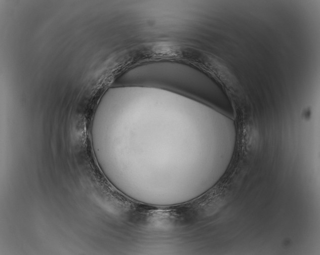 X0000115660320200912031338