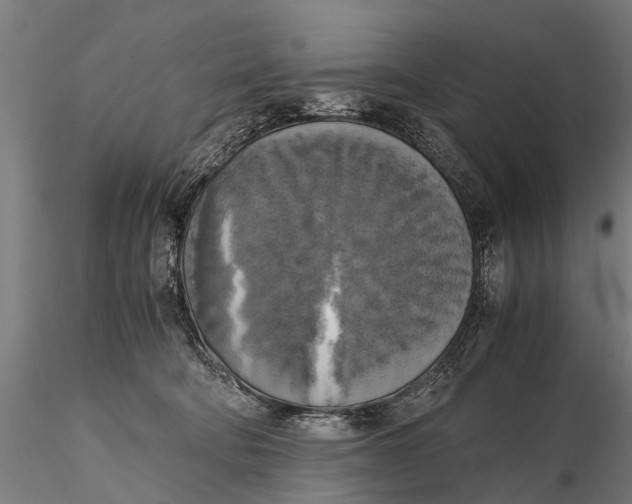 X0000115660322200912031338