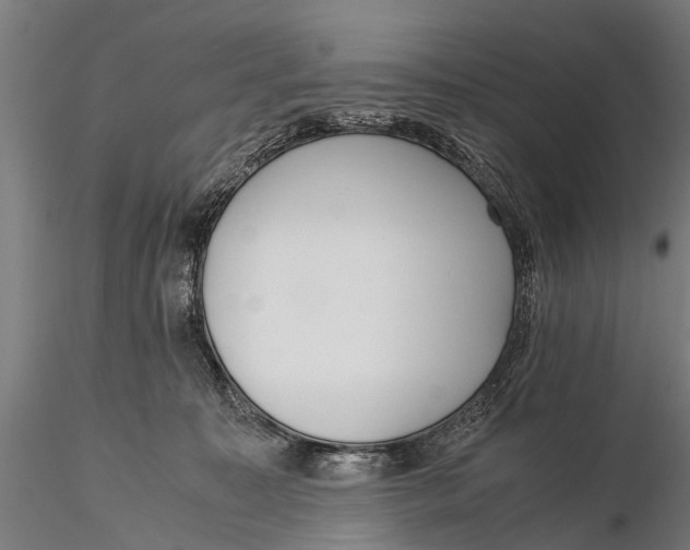 X0000115660323200912031338