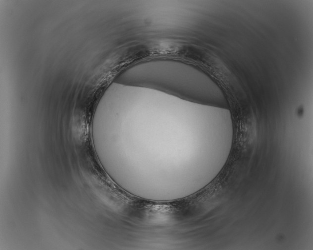 X0000115660324200912031338