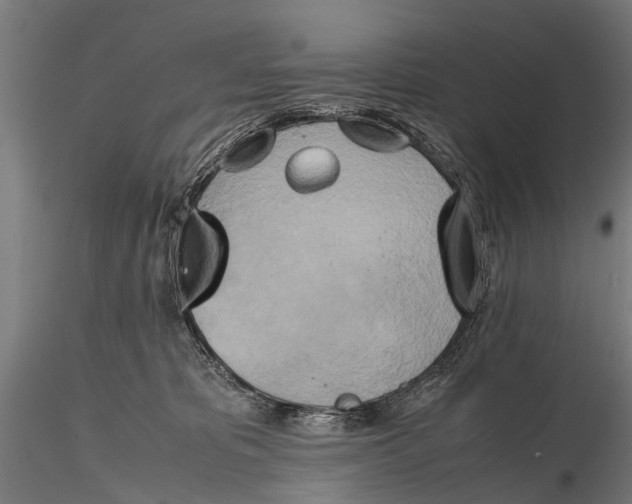 X0000115660325200912031338