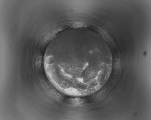 X0000115660326200912031338