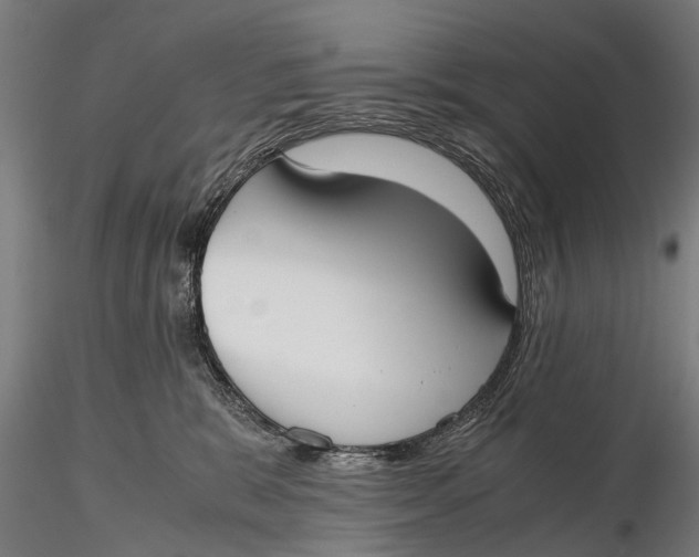 X0000115660327200912031338