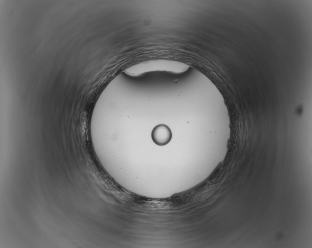 X0000115660328200912031338