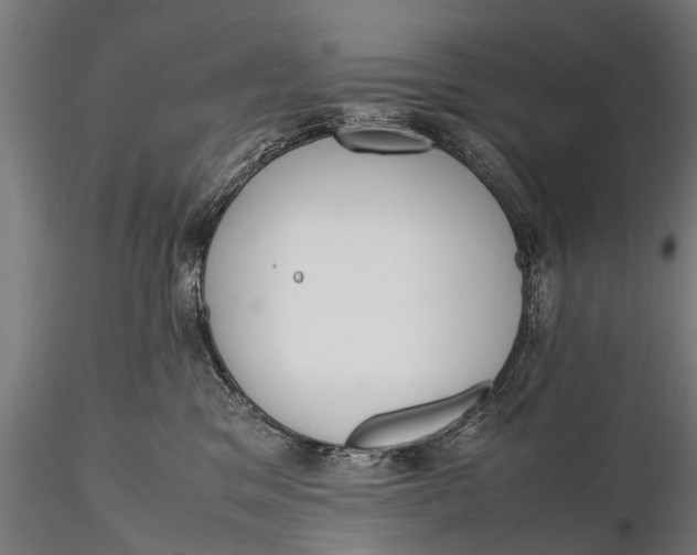 X0000115660329200912031338