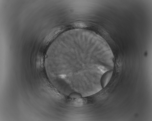 X0000115660330200912031338