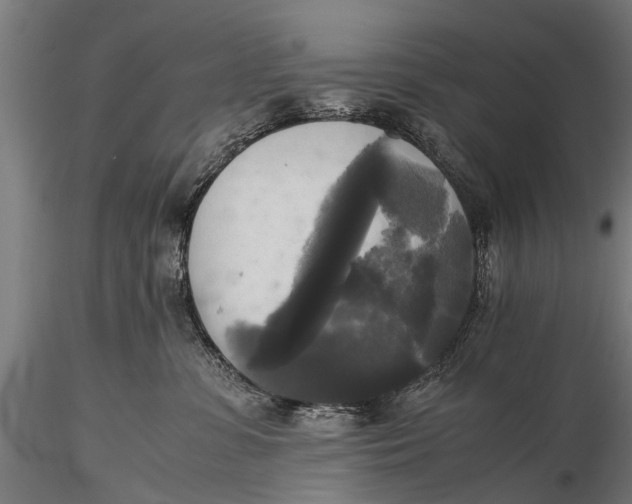 X0000115660331200912031338