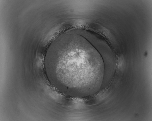 X0000115660332200912031338