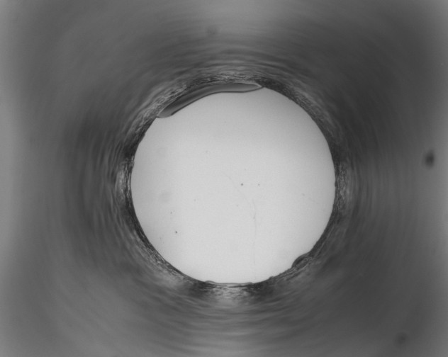 X0000115660333200912031338