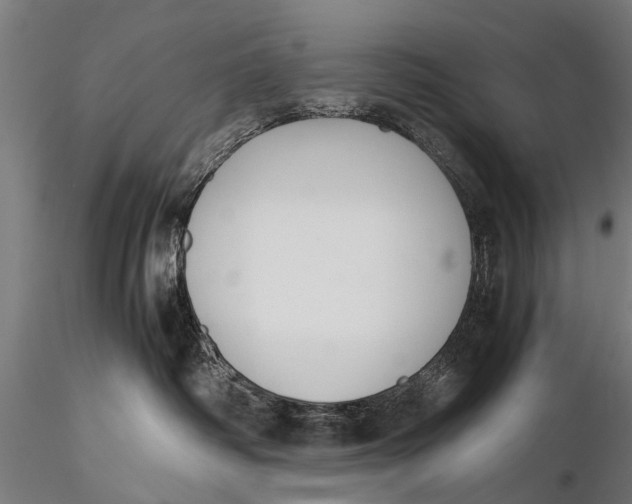 X0000115660334200912031338