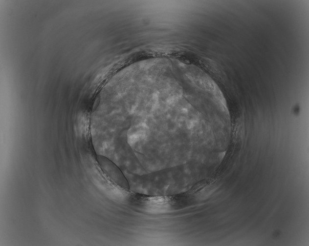 X0000115660335200912031338