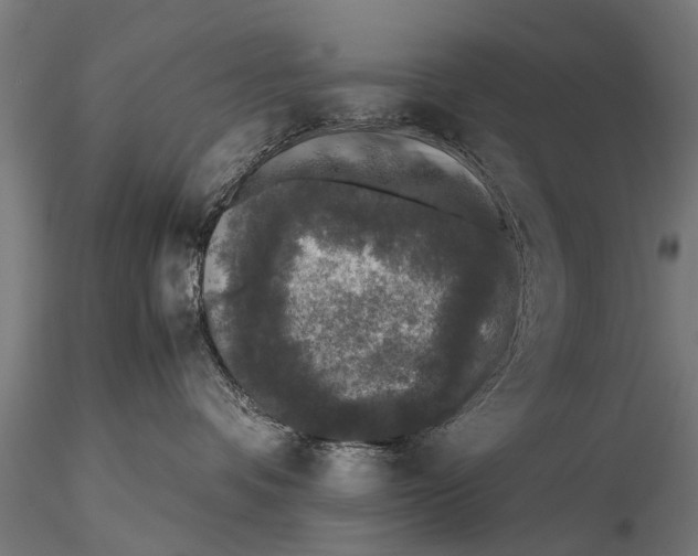 X0000115660336200912031338