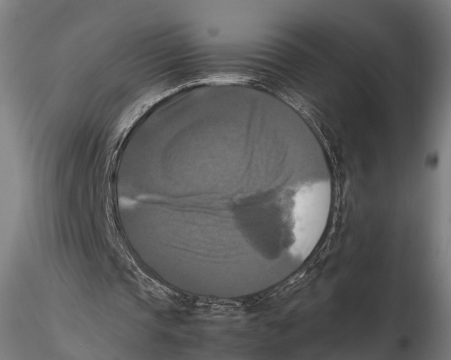 X0000115660337200912031337