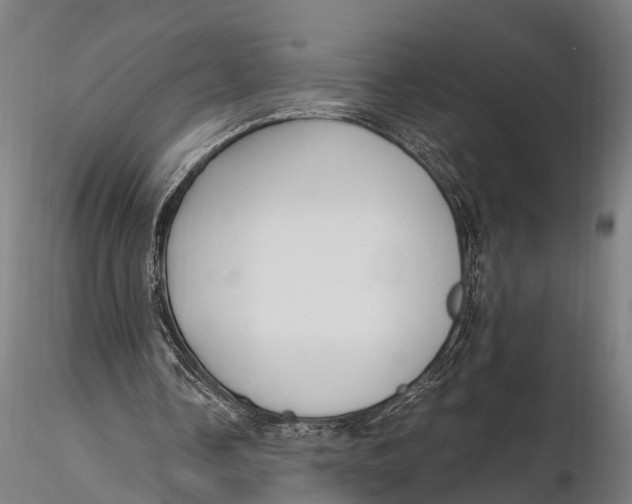 X0000115660338200912031337