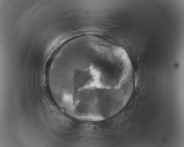 X0000115660339200912031337