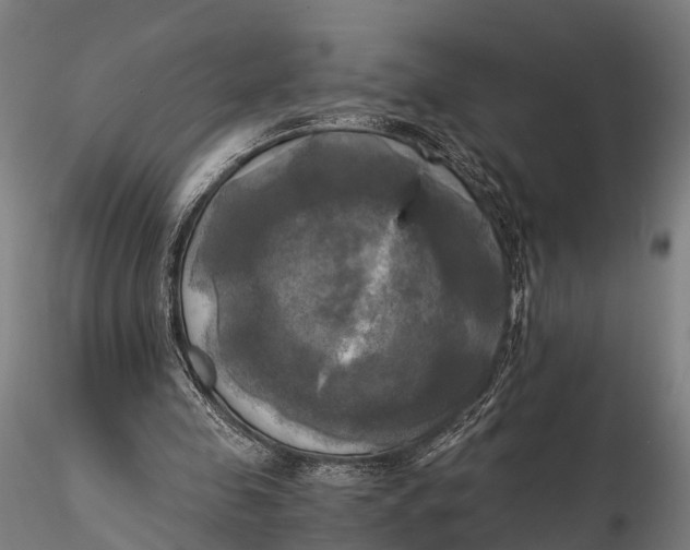 X0000115660341200912031337