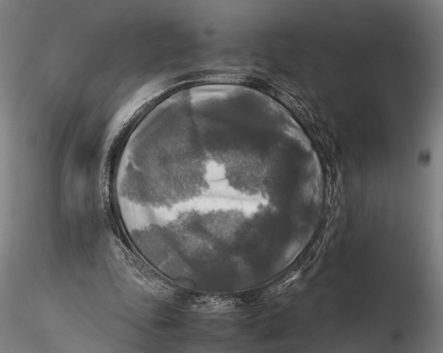 X0000115660343200912031337