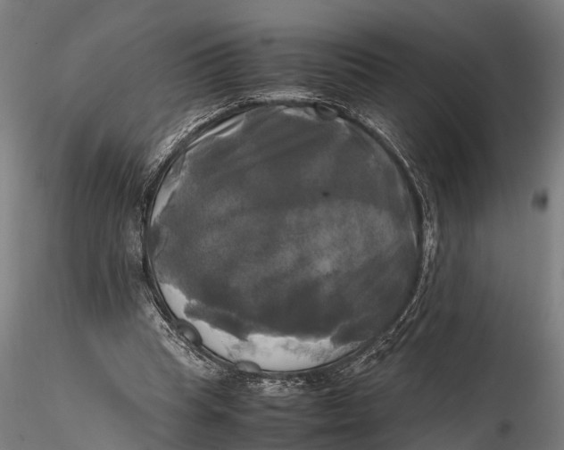 X0000115660345200912031337