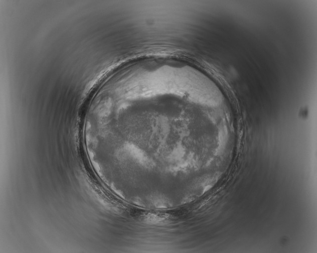 X0000115660346200912031337