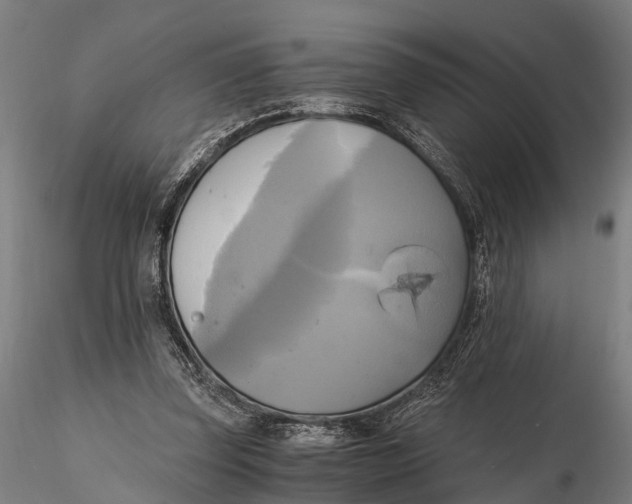 X0000115660347200912031337